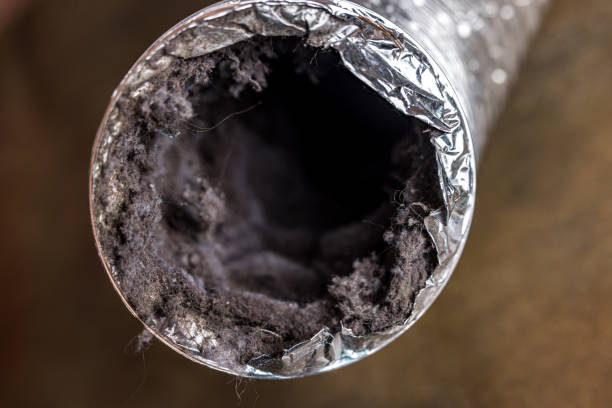 Best Best Air Duct Cleaning Company  in Haliimaile, HI