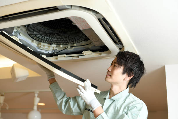 Best Affordable Air Duct Cleaning  in Haliimaile, HI